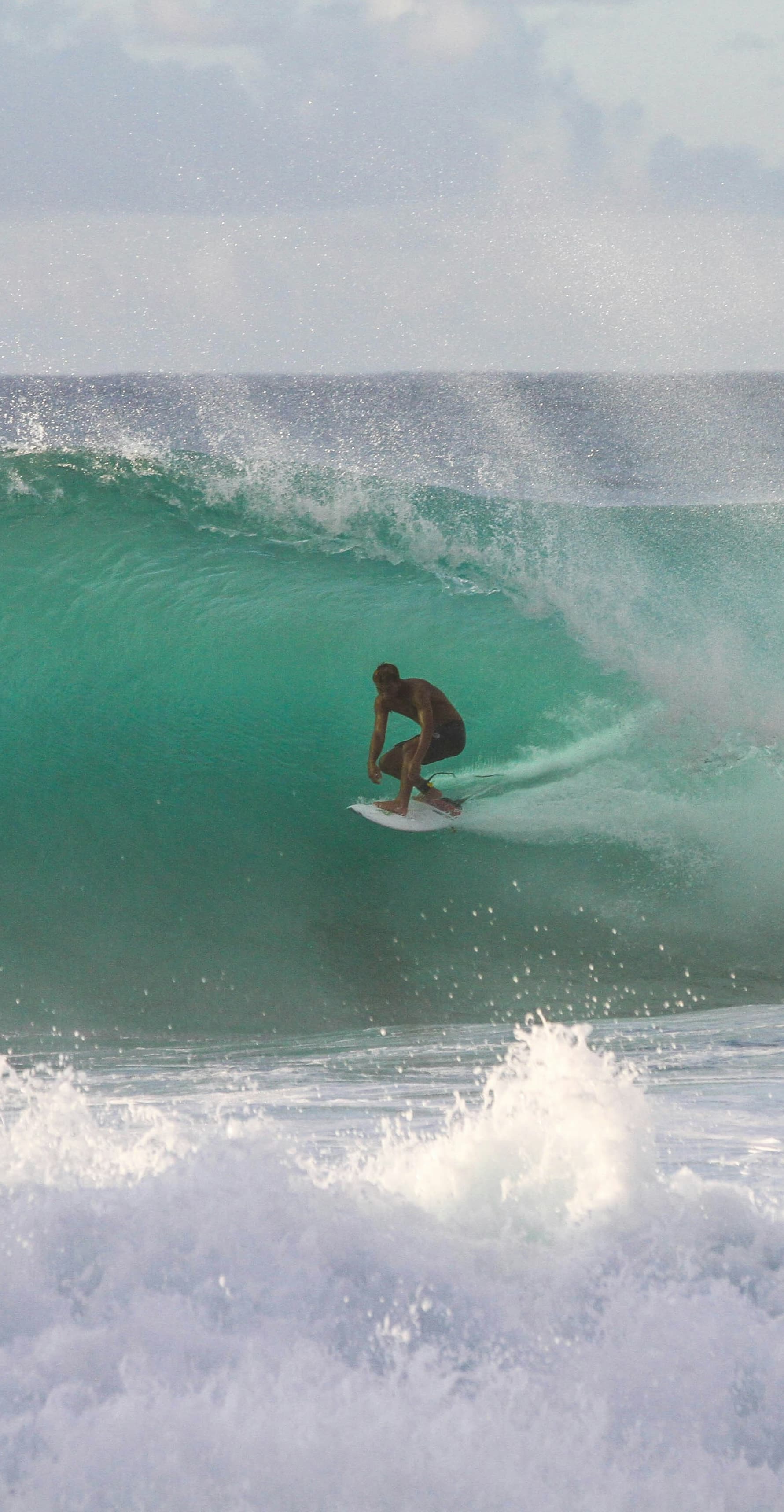 Surfer surfing a wave.